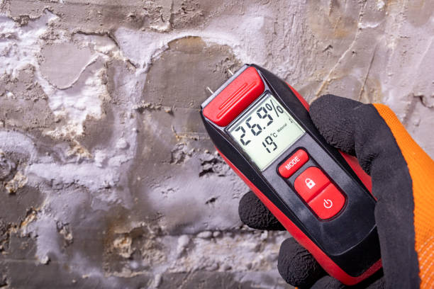 Best Mold Testing  in Roeland Park, KS
