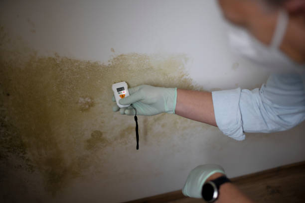 Best Crawl Space Mold Removal  in Roeland Park, KS